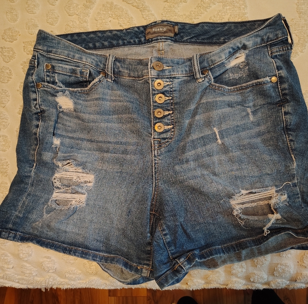 Torrid Shorts